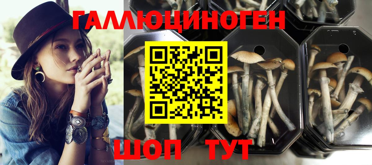 Псилоцибиновые грибы Psilocybine cubensis  Вход с VPN  цены наркотик  Братск 