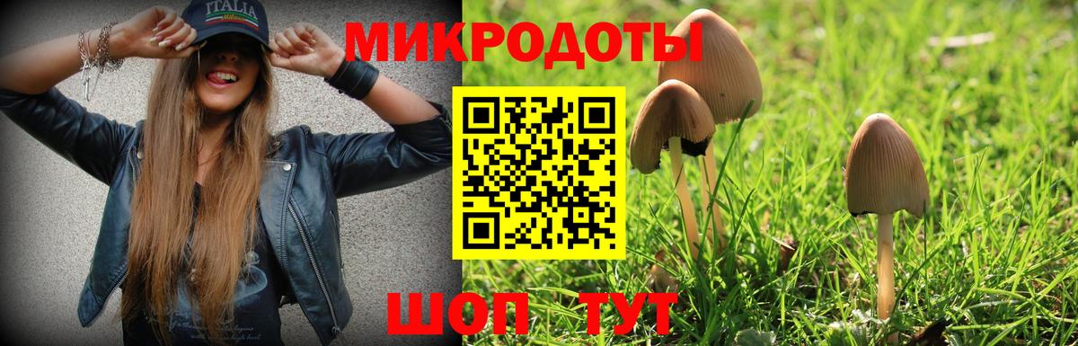 Псилоцибиновые грибы Magic Shrooms Братск